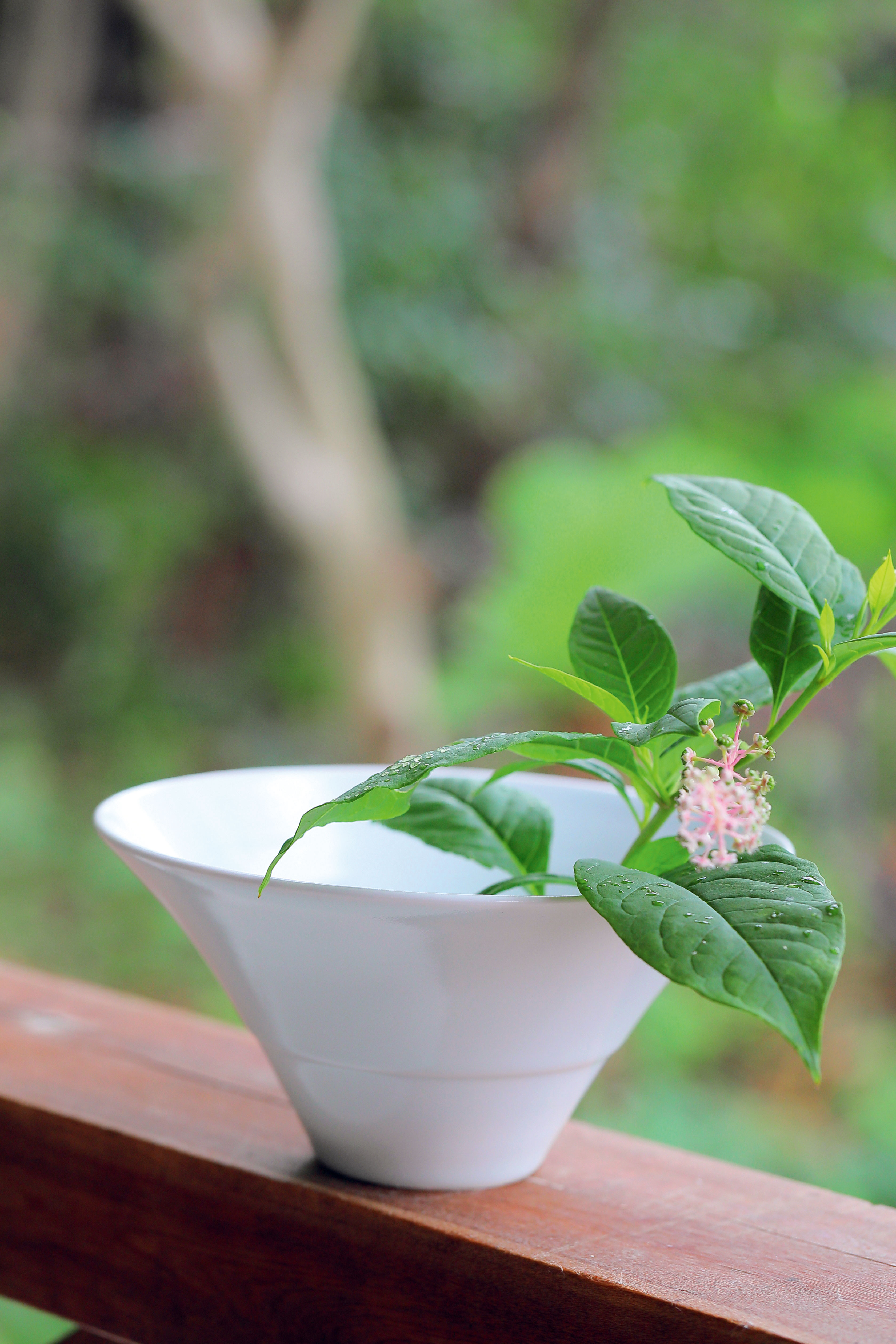 暮らし提案】生活に寄り添う陶芸家のうつわたちーSatomi kiln